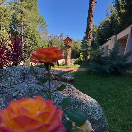 Cantu Di Fiumu מלון