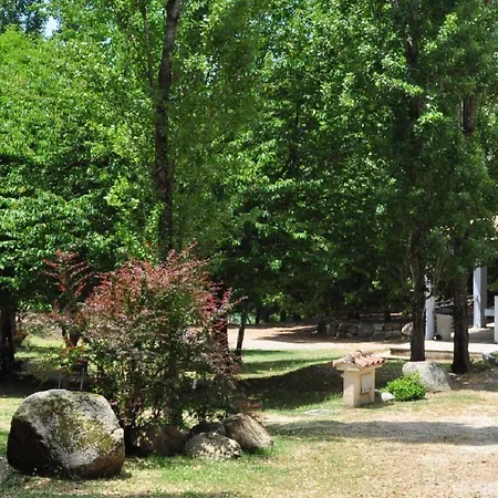 Cantu Di Fiumu 4* ゾンザ