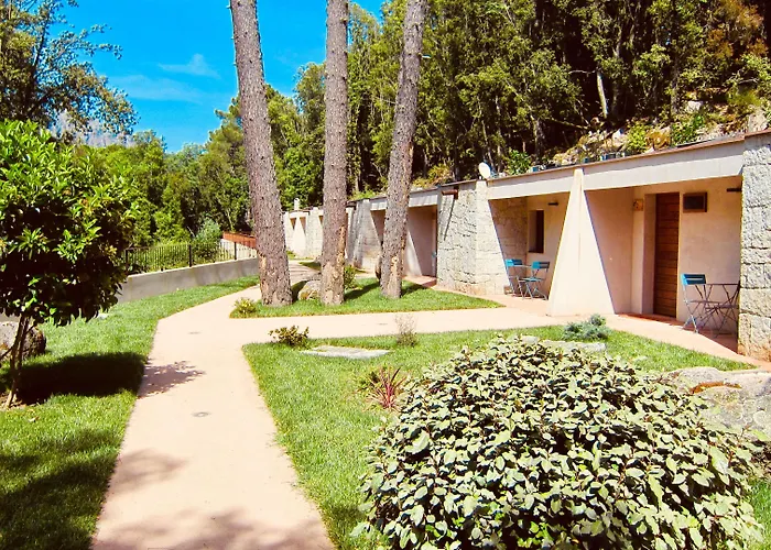 Cantu Di Fiumu Zonza